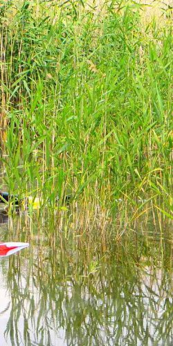 2014 Zachrany raket Jana Míckova